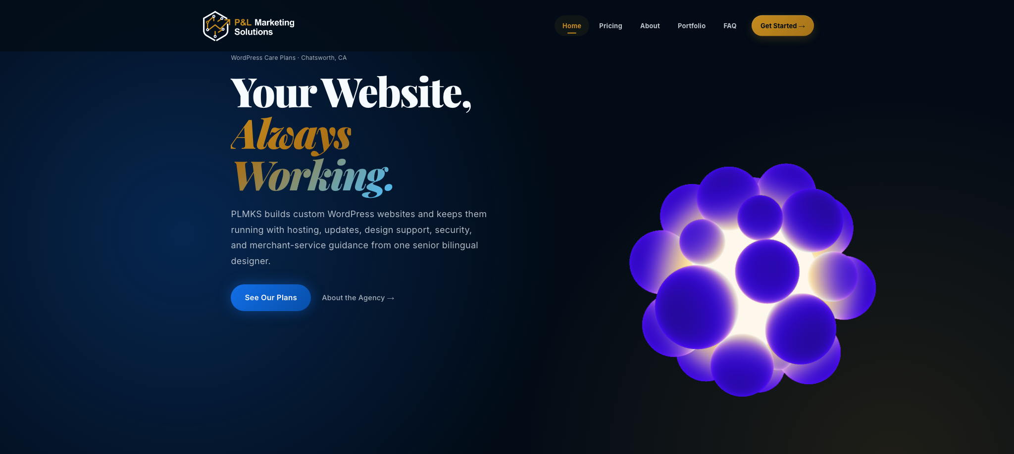P&L Marketing Solutions